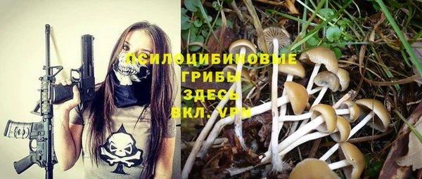 PSILOCYBIN Белокуриха