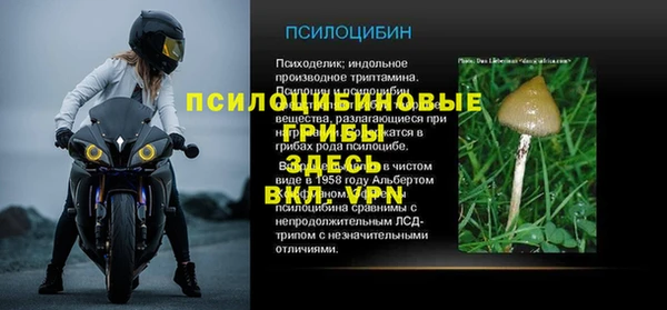 крисы Баксан